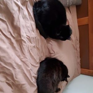 Meet your Posher, Sue